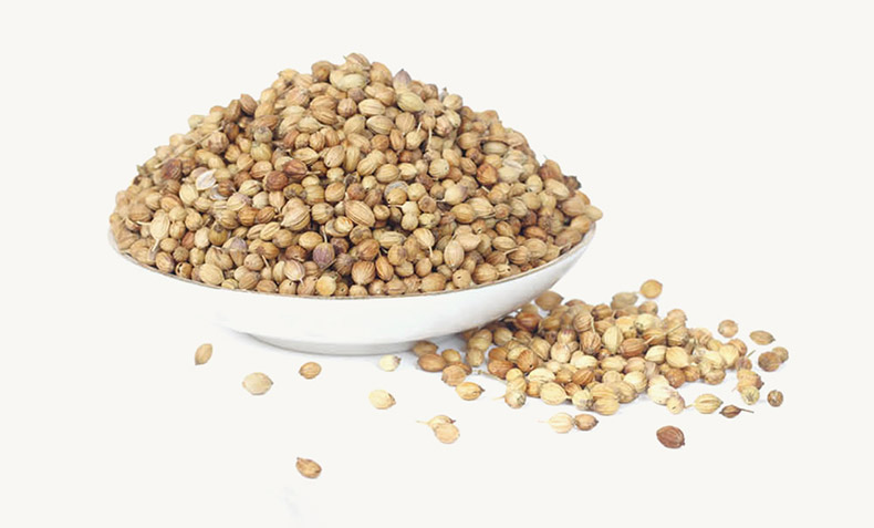 Coriander Seeds (Yansui Seeds)